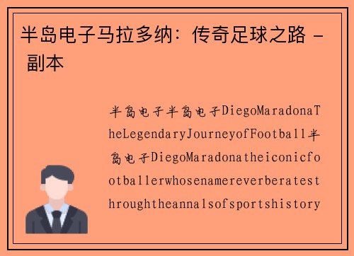 半岛电子马拉多纳：传奇足球之路 - 副本