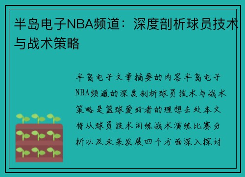半岛电子NBA频道：深度剖析球员技术与战术策略