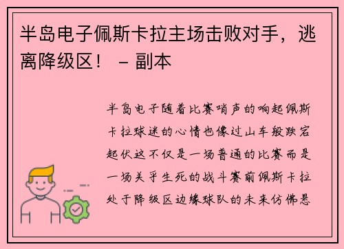 半岛电子佩斯卡拉主场击败对手，逃离降级区！ - 副本