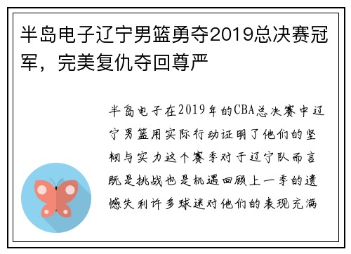 半岛电子辽宁男篮勇夺2019总决赛冠军，完美复仇夺回尊严