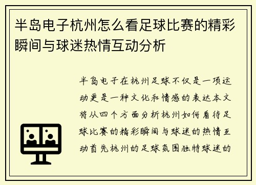 半岛电子杭州怎么看足球比赛的精彩瞬间与球迷热情互动分析