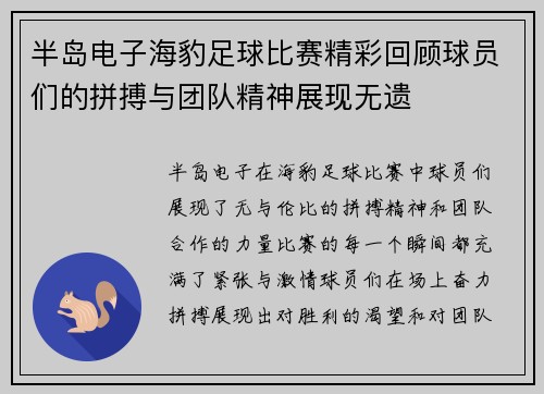 半岛电子海豹足球比赛精彩回顾球员们的拼搏与团队精神展现无遗